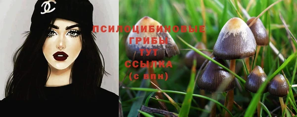 spice Вяземский