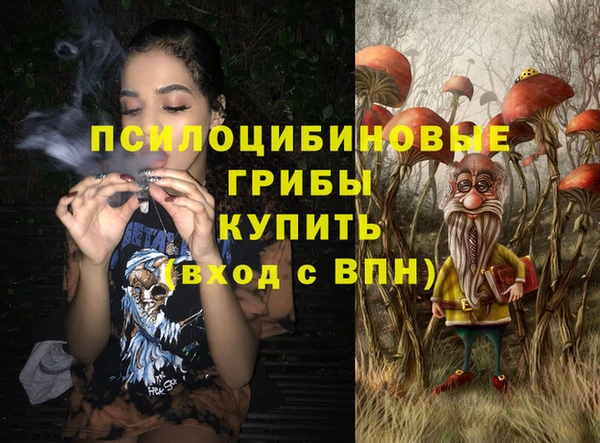 spice Вяземский