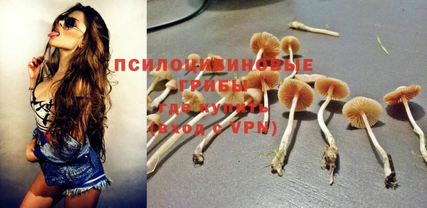 прущий лед Горнозаводск